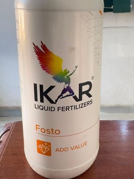 Fosto pack